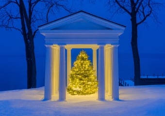 Rowland-House-Temple-Christmas-Tree